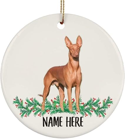 Divertidos adornos de cerámica para árbol de Navidad con nombre de faraón, sabueso, castaño, regalos 2024